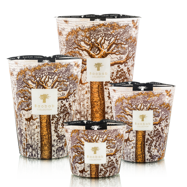 Sacred Trees Dualla Candle <br> Basil, Jasmine, Patchouli<br> Limited Edition<br> (H 16) cm