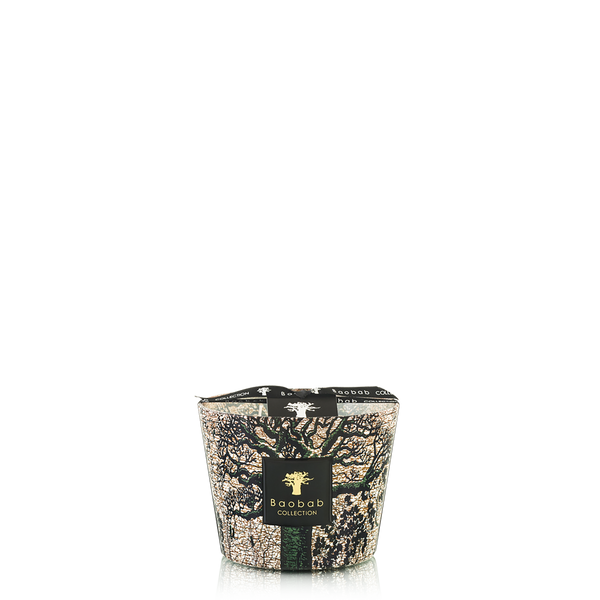 Sacred Trees Kani Candle <br> 
Vetiver, Galbanum, Leather
 <br> Limited Edition <br> 
(H 10) cm