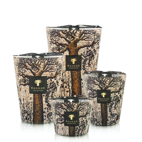 Sacred Trees Morondo Candle <br> 
Cinnamon, Almond, Texas Cedar Wood <br> 
Limited Edition <br> 
(H 16) cm