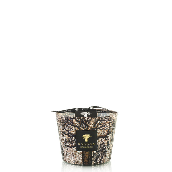 Sacred Trees Morondo Candle <br> 
Cinnamon, Almond, Texas Cedar Wood
 <br> Limited Edition <br> 
(H 10) cm