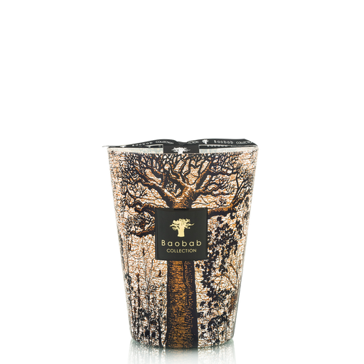 Sacred Trees Morondo Candle <br> 
Cinnamon, Almond, Texas Cedar Wood
 <br> Limited Edition <br> 
(H 24) cm