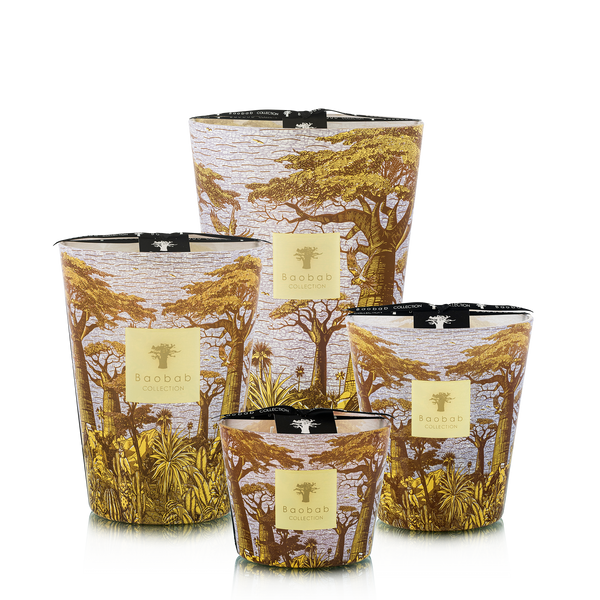 Sacred Trees Cocody Candle <br>
Basil, Jasmin, Patchouli <br>
Limited Edition <br>
(H 24) cm