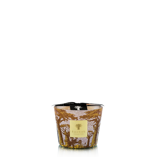 Candles & Fragrances