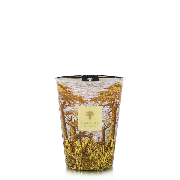 Candles & Fragrances