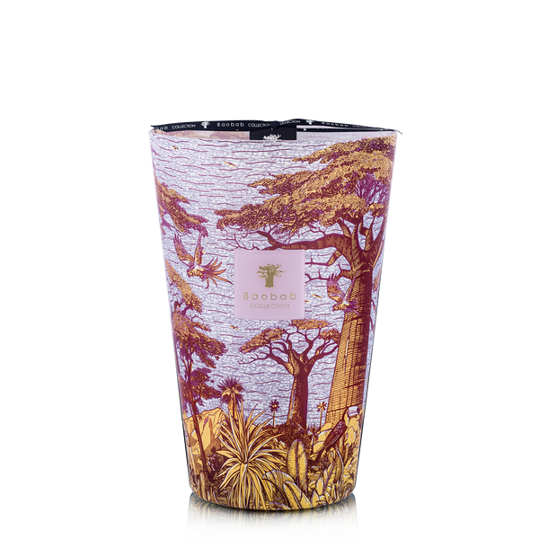 Sacred Trees Massasso Candle <br>
Hazelnut Leaves, Green Fig, Sandalwood <br>
Limited Edition <br>
(H 35) cm