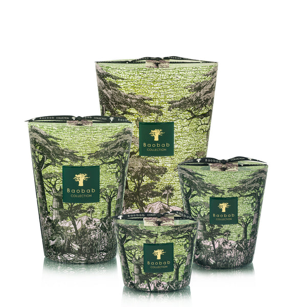 Sacred Trees Touba Candle <br>
Verbena, Lavender, Cedarwood
<br> (H 24) cm