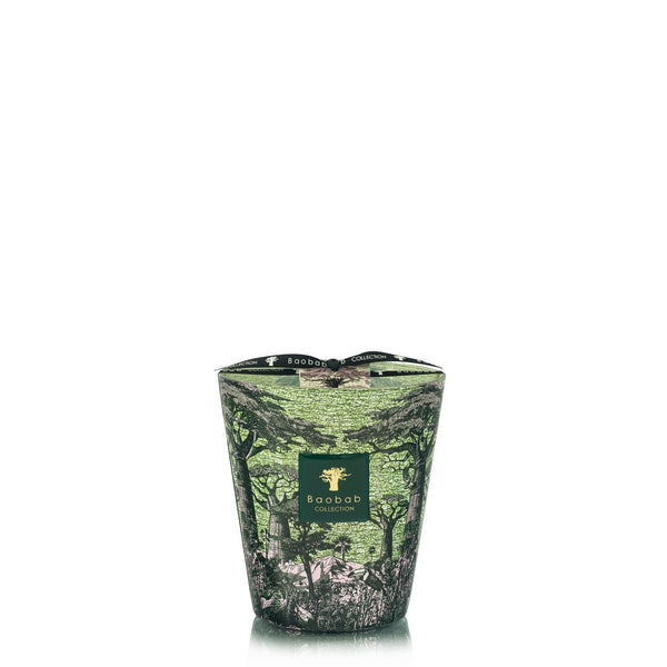 Sacred Trees Touba Candle <br>
Verbena, Lavender, Cedarwood
<br> (H 16) cm