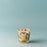 My First Baobab Tomorrowland Candle <br> Pear, Lily of the Valley, Moss <br> Limited Edition <br> (H 8) cm