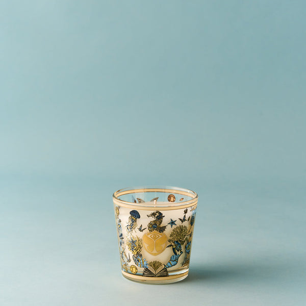 My First Baobab Tomorrowland Candle <br> Pear, Lily of the Valley, Moss <br> Limited Edition <br> (H 8) cm