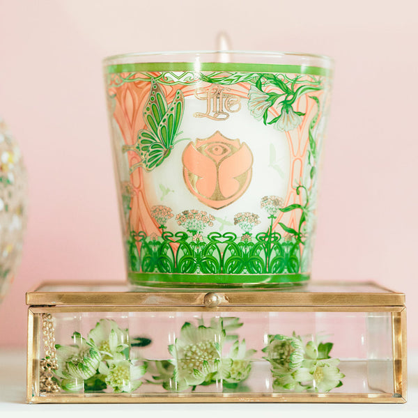 My First Baobab Tomorrowland Candle <br> 
Pear, Lily of the Valley, Moss <br> 
Limited Edition <br> 
(H 8) cm