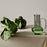 Bump Jug <br> Green <br> 750 ml