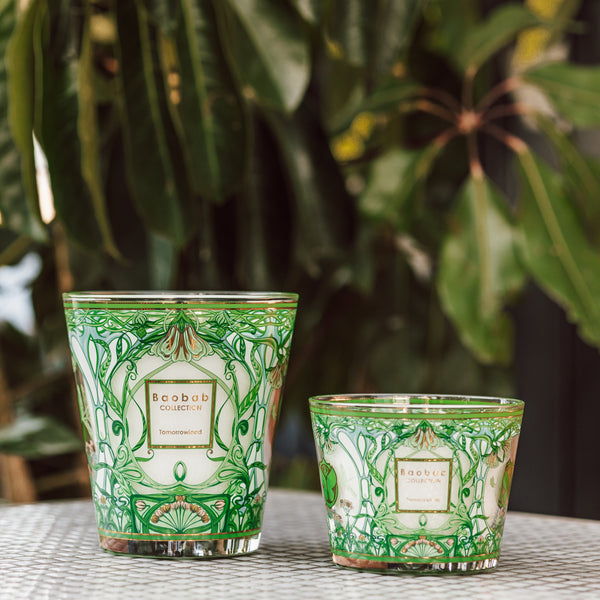 My First Baobab Tomorrowland Candle <br> Lily of the Valley and Moss <br> Limited Edition <br> (H 8) cm