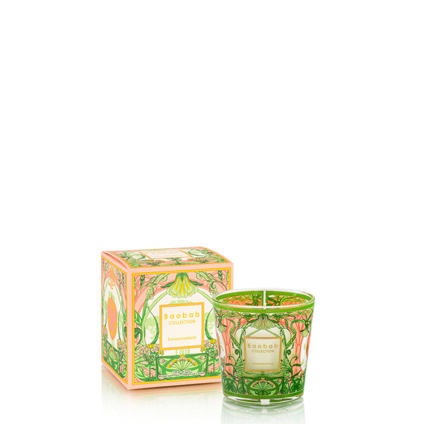 Candles & Fragrances