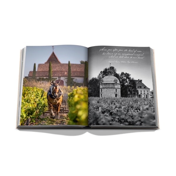 Wine & Travel France