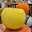 Apple Monochrome-Shaded <br> Yellow <br> (Ø 39 x H 32) cm