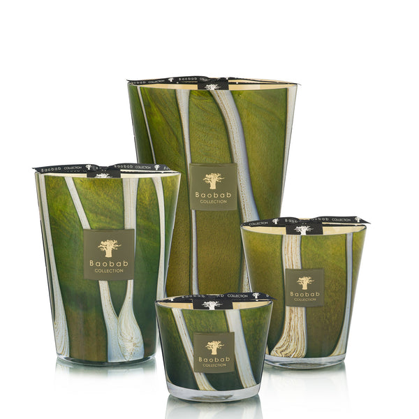 Woods Sherwood Candle <br>
Rosemary, Cedarwood, Vetiver <br>
Limited Edition
<br> (H 16) cm