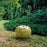 Apple Portuguese Faience <br> Green <br> (Ø 20 x H 16) cm