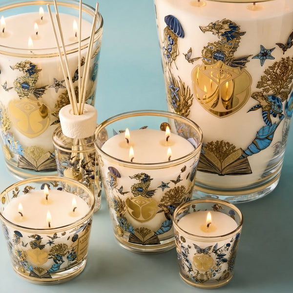 My First Baobab Tomorrowland Candle <br> Pear, Lily of the Valley, Moss <br> Limited Edition <br> (H 8) cm