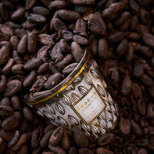 Pierre Marcolini Perou Candle <br> 
Lime, Jasmine, Vetiver
<br> Limited Edition
<br> (H 16) cm