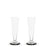 Puck Flute Glass <br> Set of 2 <br> 125 ml