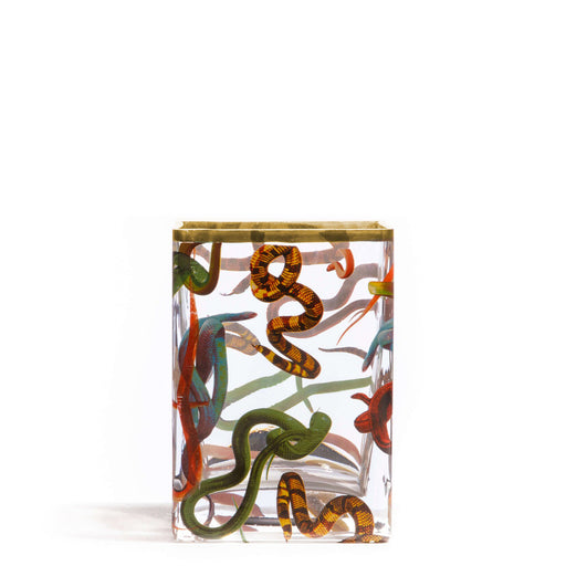 Snakes Glass Vase <br> (L 10 x W 8 x H 14) cm