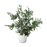 Bloom Botanica Flowerpot <br> (Ø 25.5 x H 19) cm