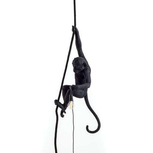 Monkey with Rope <br> Indoor & Outdoor Lamp <br> (L 37 x W 25 x H 76.5) cm