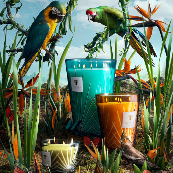 Palm Springs Candle <br> Peppermint, Lemon Leaves, Tonka Beans <br> Limited Edition <br> (H 35) cm