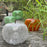 Apple Crackled Glass Transparences <br> Emerald <br> (Ø 20 x H 15) cm