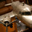 Dakota DC-3 <br> (L 98 x H 17) cm