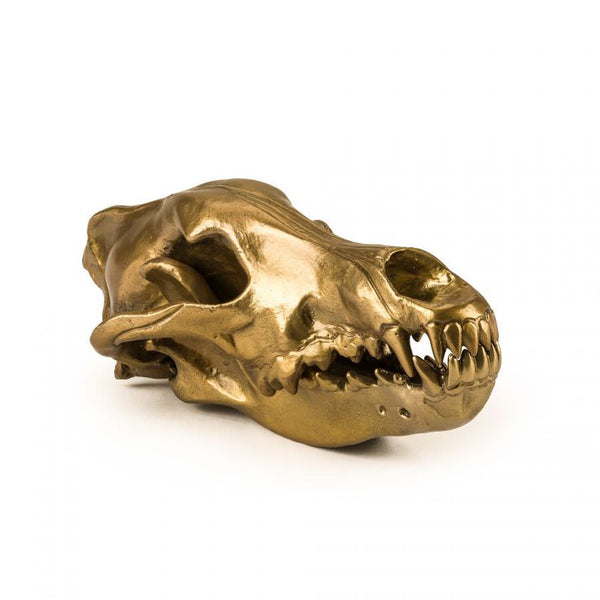 Wunderkammer <br> Wolf Skull <br> (W 14 x H 12) cm