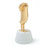 Hopebird <br> Glossy Gold <br> (H 67.5) cm