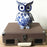 Money Box <br> Owl <br> (L 18.5 x W 15.5 x H 25.5) cm