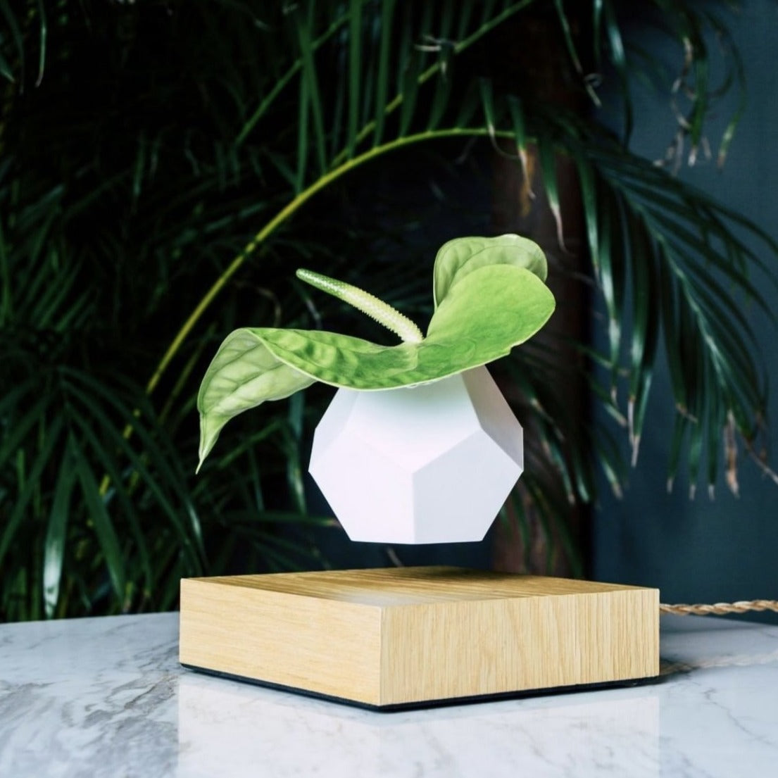 lyfe plant pot Flyte Lyfe Planter