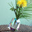 Regenbogen Vase <br> (L 14.5 x W 8.5 x H 14.5) cm