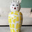 Canopie Vase <br> Rosio <br> (Ø 18 x H 37) cm