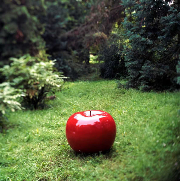 Apple Brilliant Glazed <br> Red <br> (Ø 20 x H 15) cm