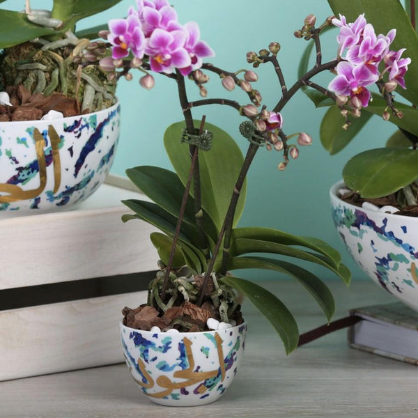 Fairuz Nut Bowls <br> Set of 2